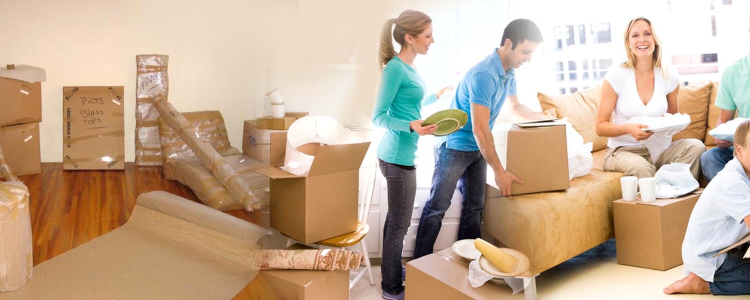 Packers and Movers in Delhi