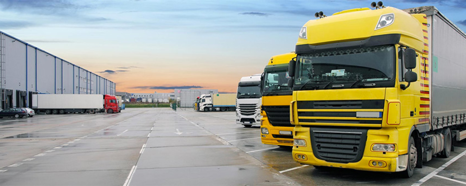 Car transportation service Delhi